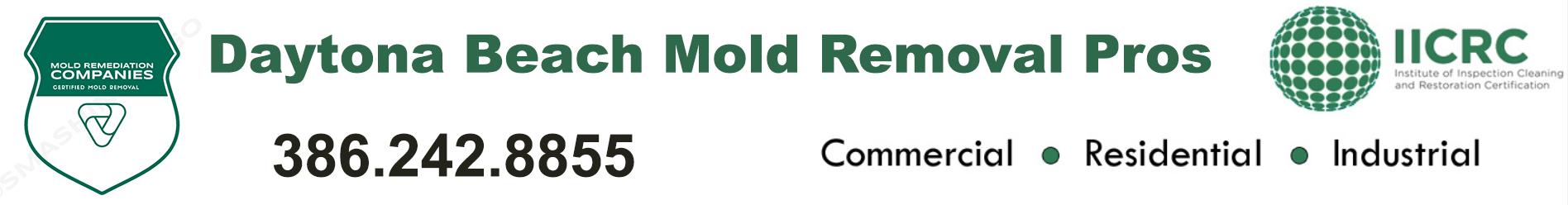 Daytona Beach Mold Removal Pros