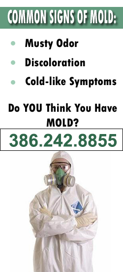 Daytona Beach Mold Remediation Contractor